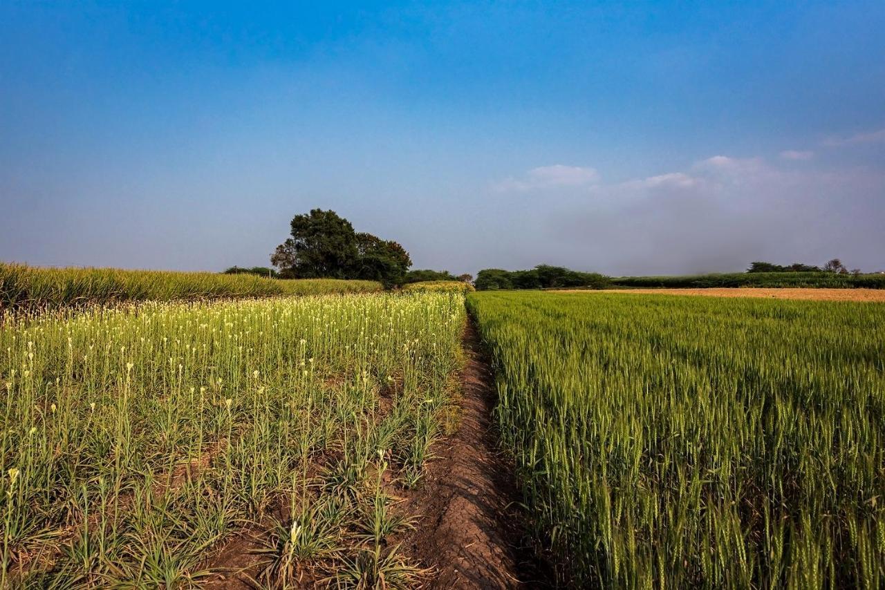 Saffronstays Happy Fields, Pune - Luxury Farmstay With Farm To Table Food Zewnętrze zdjęcie